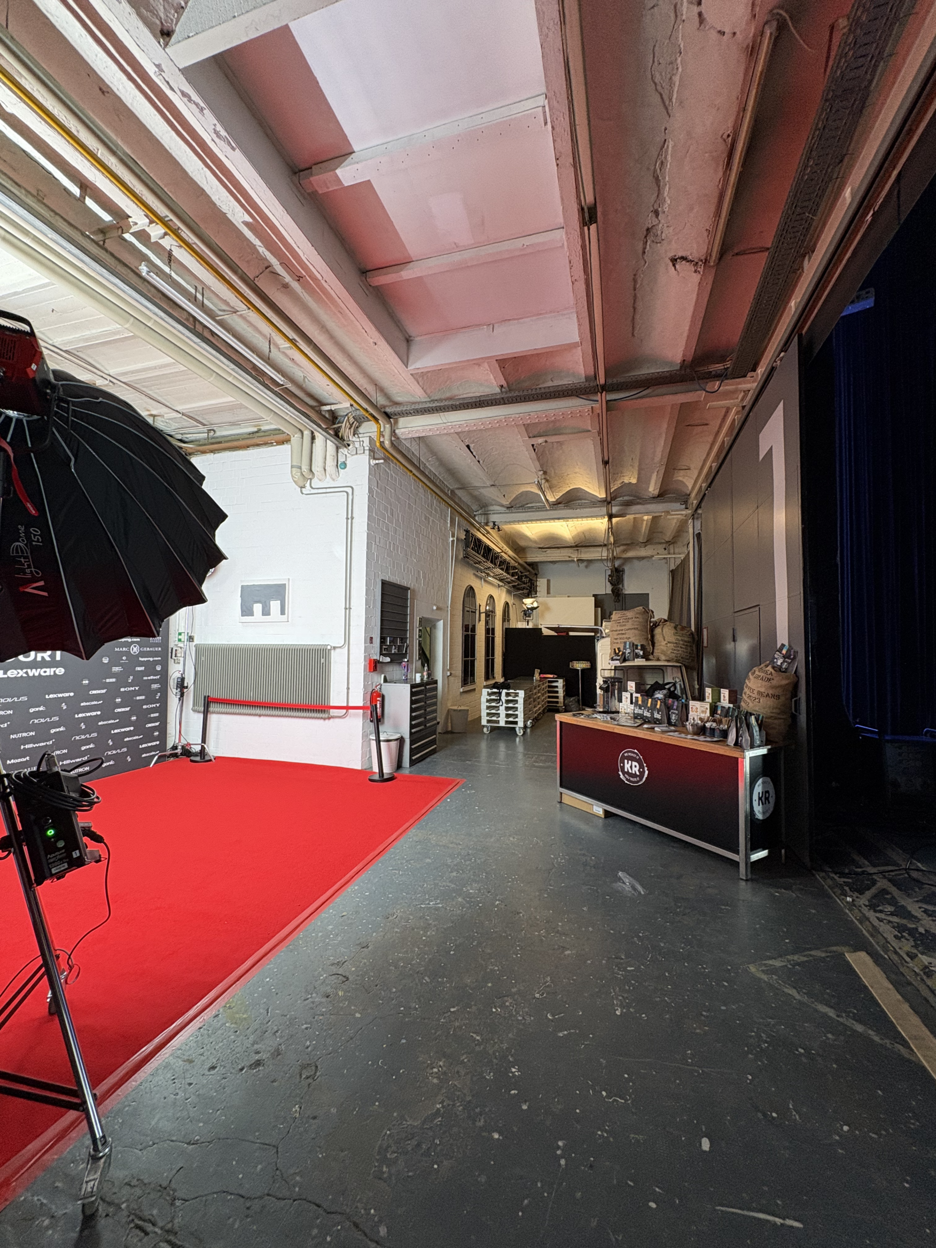 Elegant Elephant Studios IMG 1185 scaled e1771949753499