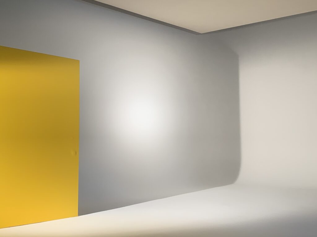 Elegant Elephant Studios Yellow Wall 2